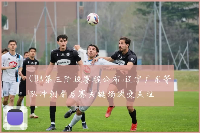CBA第三阶段赛程公布 辽宁广东等队冲刺季后赛关键场次受关注