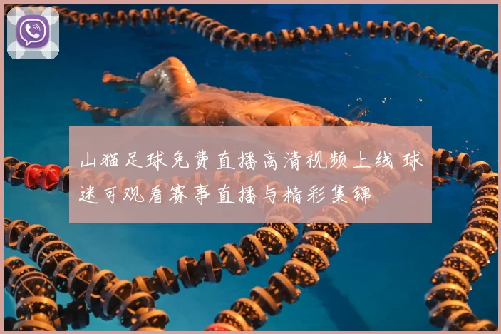 山猫足球免费直播高清视频上线 球迷可观看赛事直播与精彩集锦